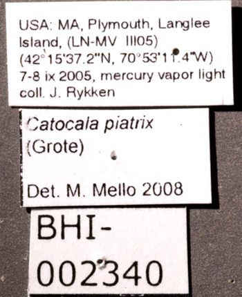 Media type: image;   Entomology 622405 Aspect: labels